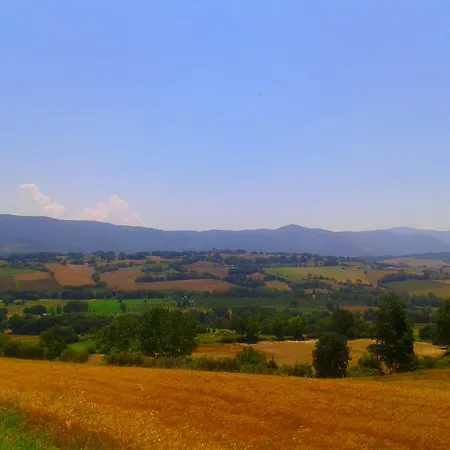 L'oro Di Cicognola Massa Martana
