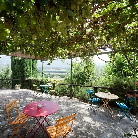 L'oro Di Cicognola 3*