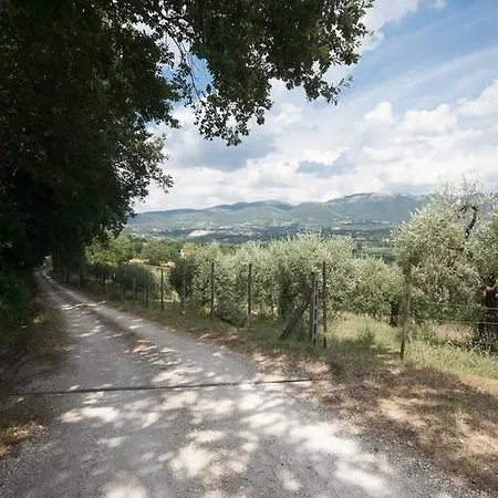 L'oro Di Cicognola Bed & Breakfast