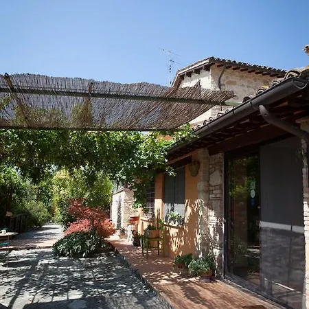 Bed & Breakfast L'oro Di Cicognola 3*