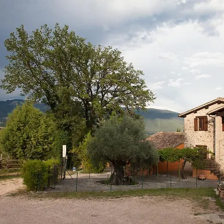 Bed & Breakfast L'oro Di Cicognola