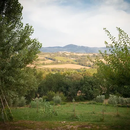 L'oro Di Cicognola Massa Martana