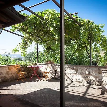Bed & Breakfast L'oro Di Cicognola 3*