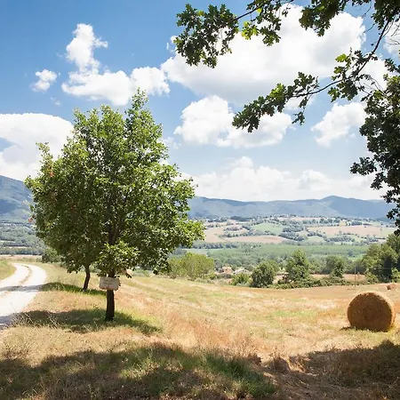 L'oro Di Cicognola 3* Massa Martana