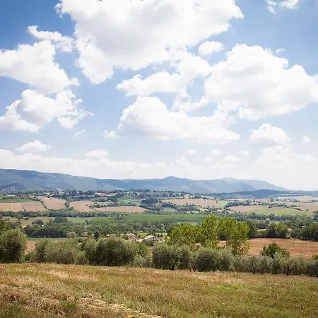 L'oro Di Cicognola Alojamento de Acomodação e Pequeno-almoço Massa Martana