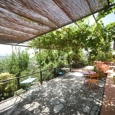 Bed & Breakfast L'oro Di Cicognola