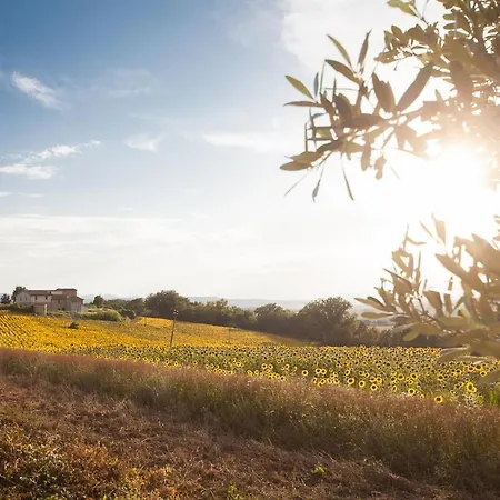 L'oro Di Cicognola Bed & Breakfast