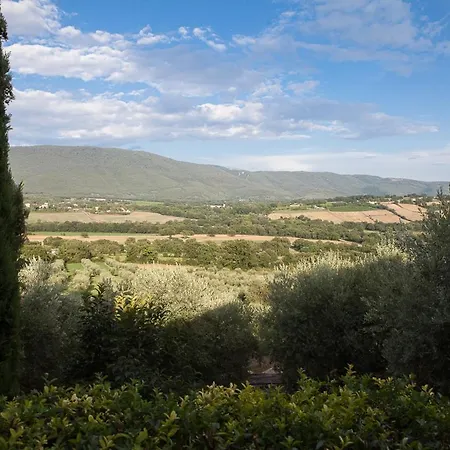 L'oro Di Cicognola